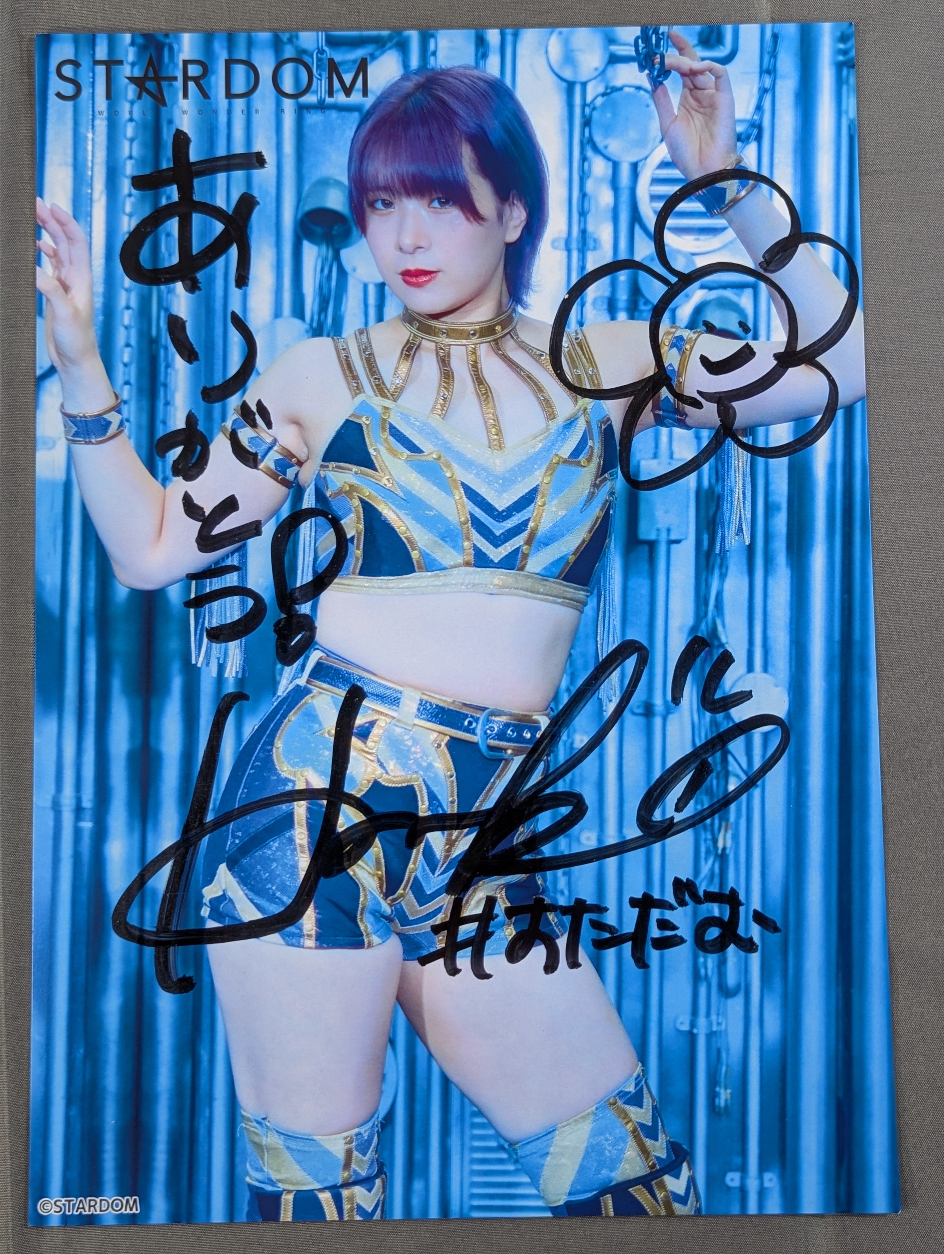 HANAKO 直筆サイン入り スターダムポートレート(A-7) – 闘道館