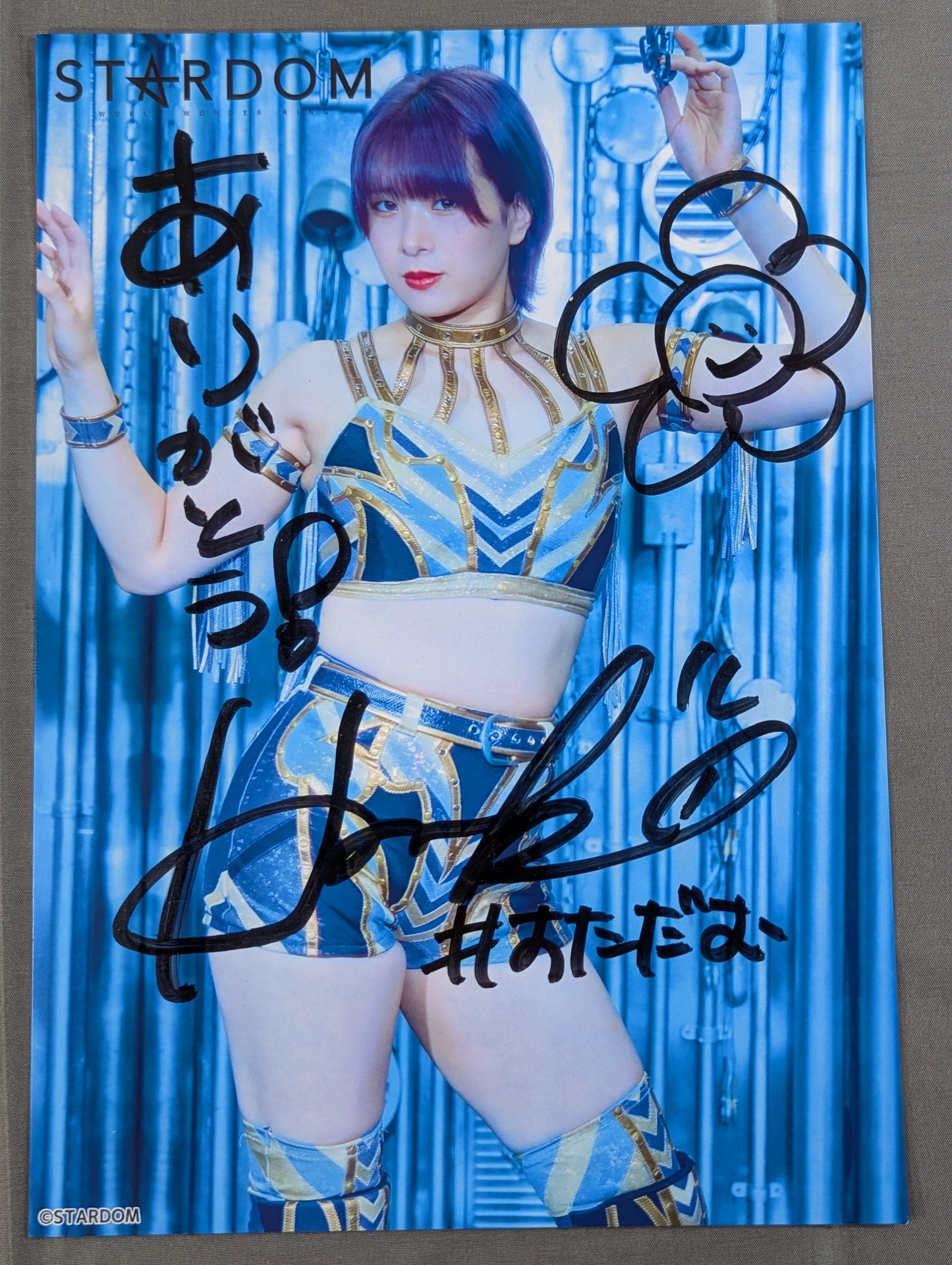 HANAKO 直筆サイン入り スターダムポートレート(A-7)