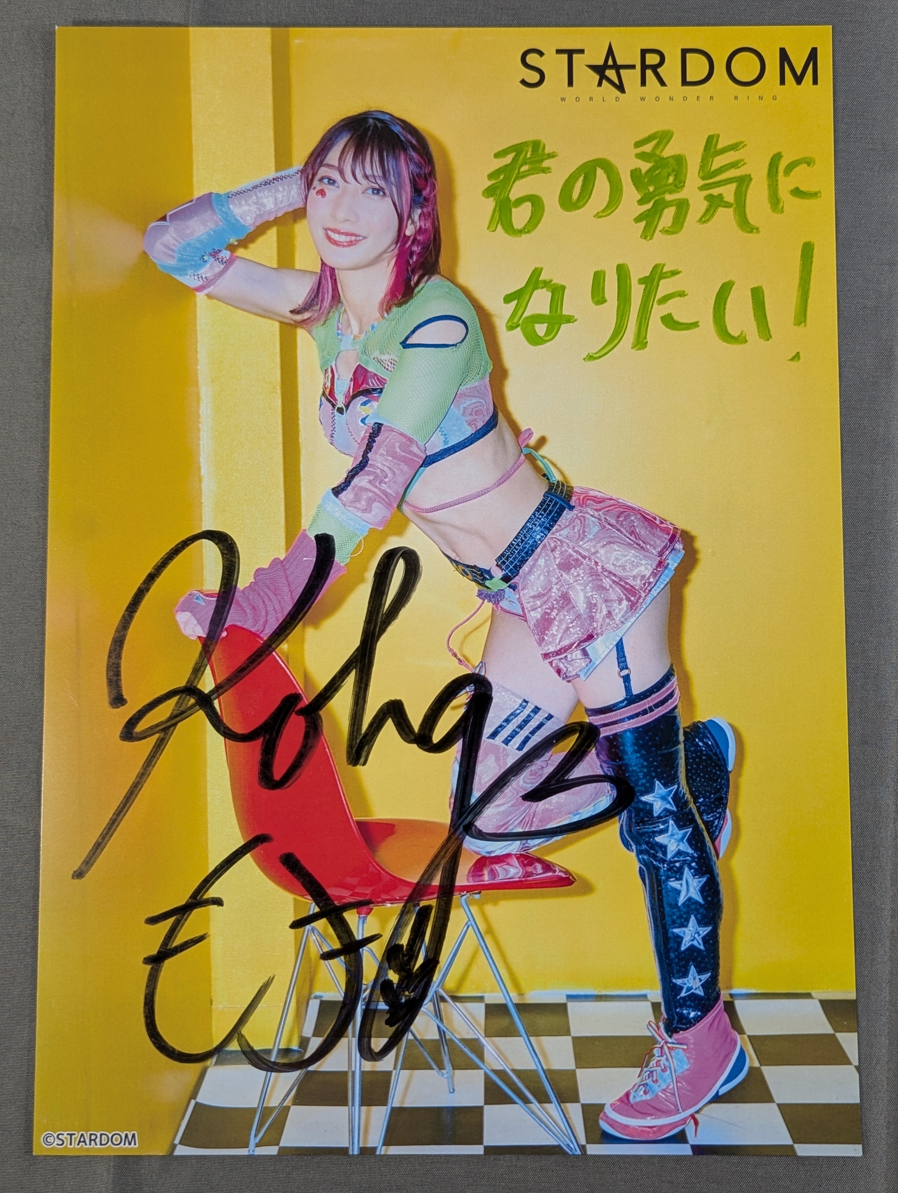 向後桃 直筆サイン入り スターダムポートレート(C-8) – 闘道館