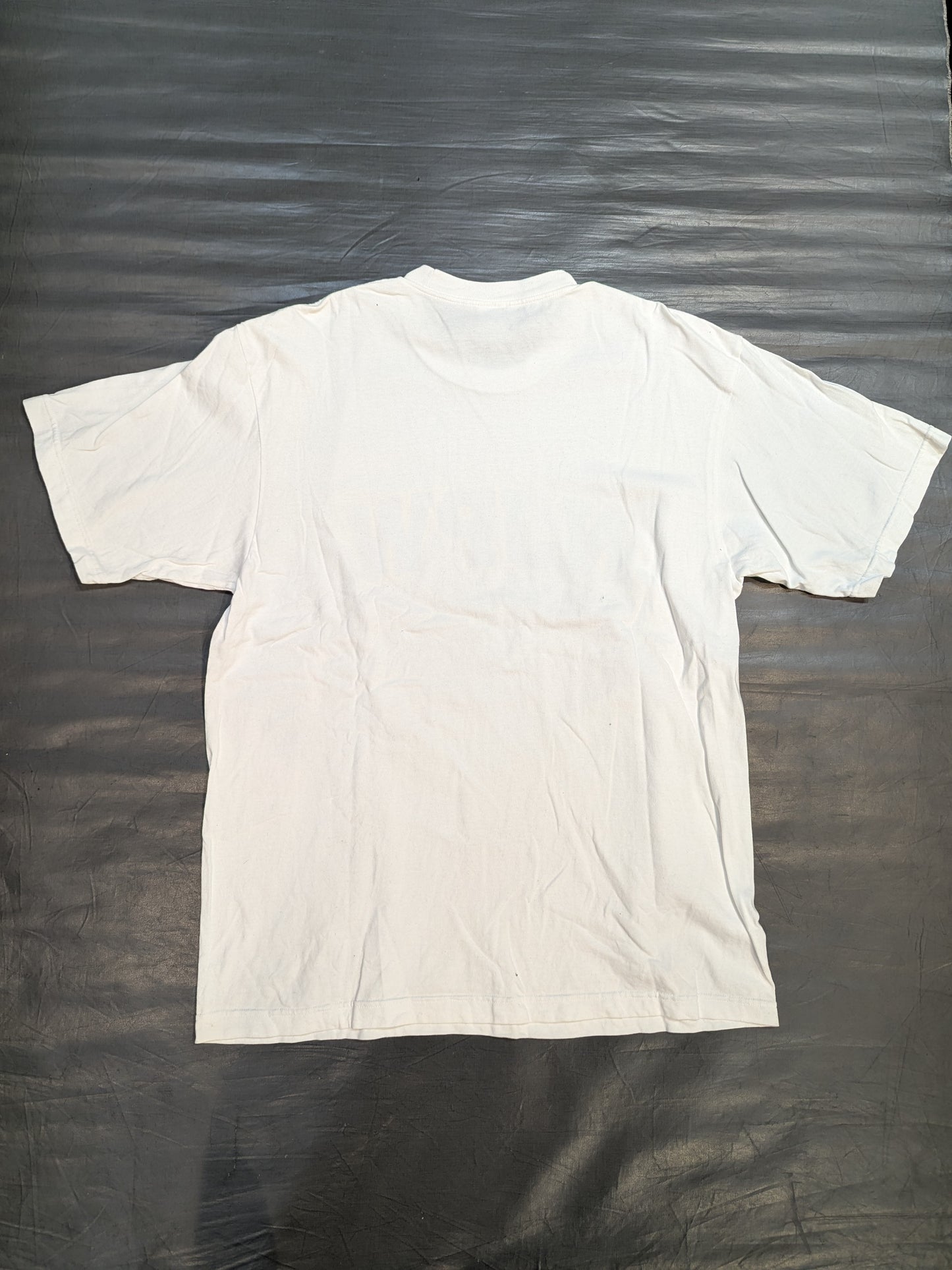 ライオンマーク カレッジTシャツ