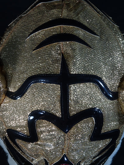 The first Tiger Mask