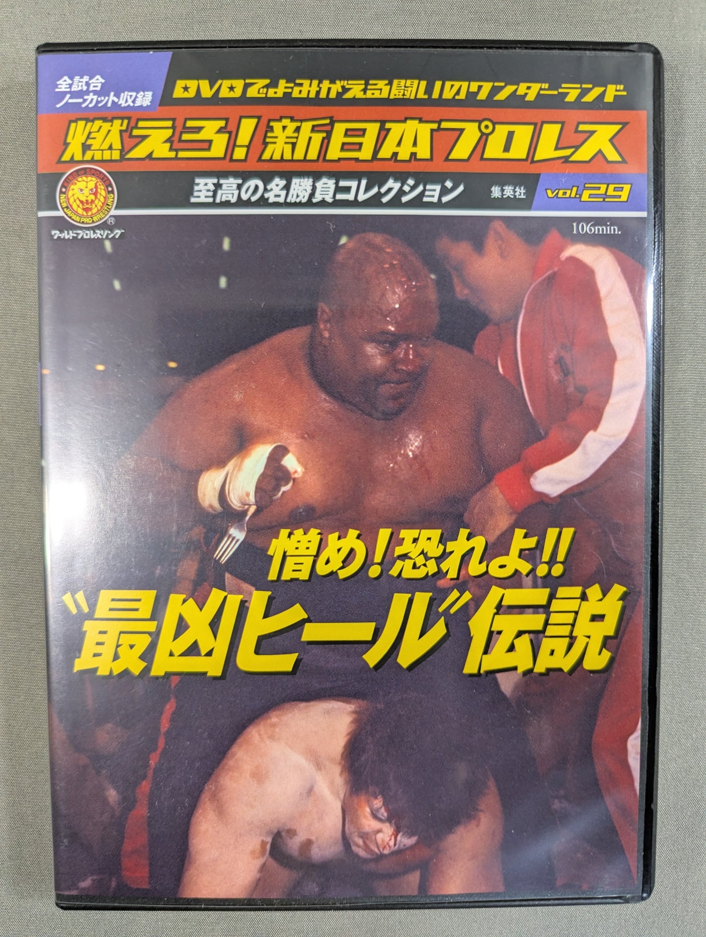 燃えろ!新日本プロレス vol.29