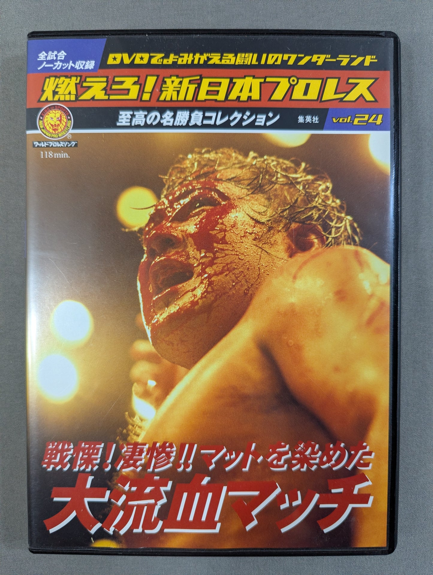 Burn! New Japan Pro Wrestling  vol.24