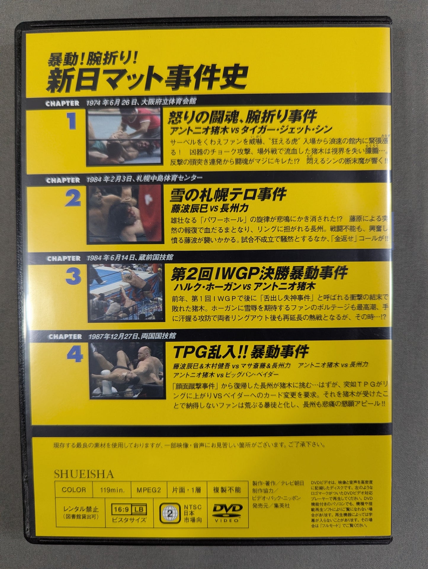 Burn! New Japan Pro Wrestling  vol.20
