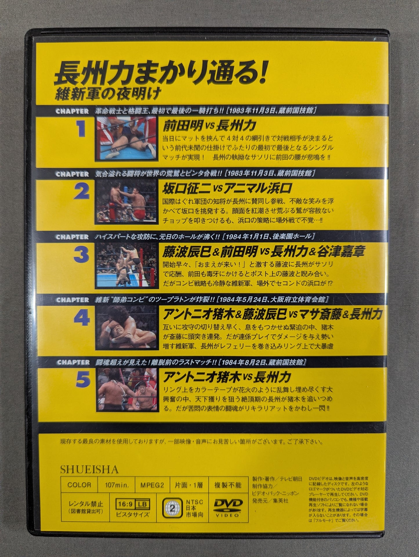 Burn! New Japan Pro Wrestling  vol.13