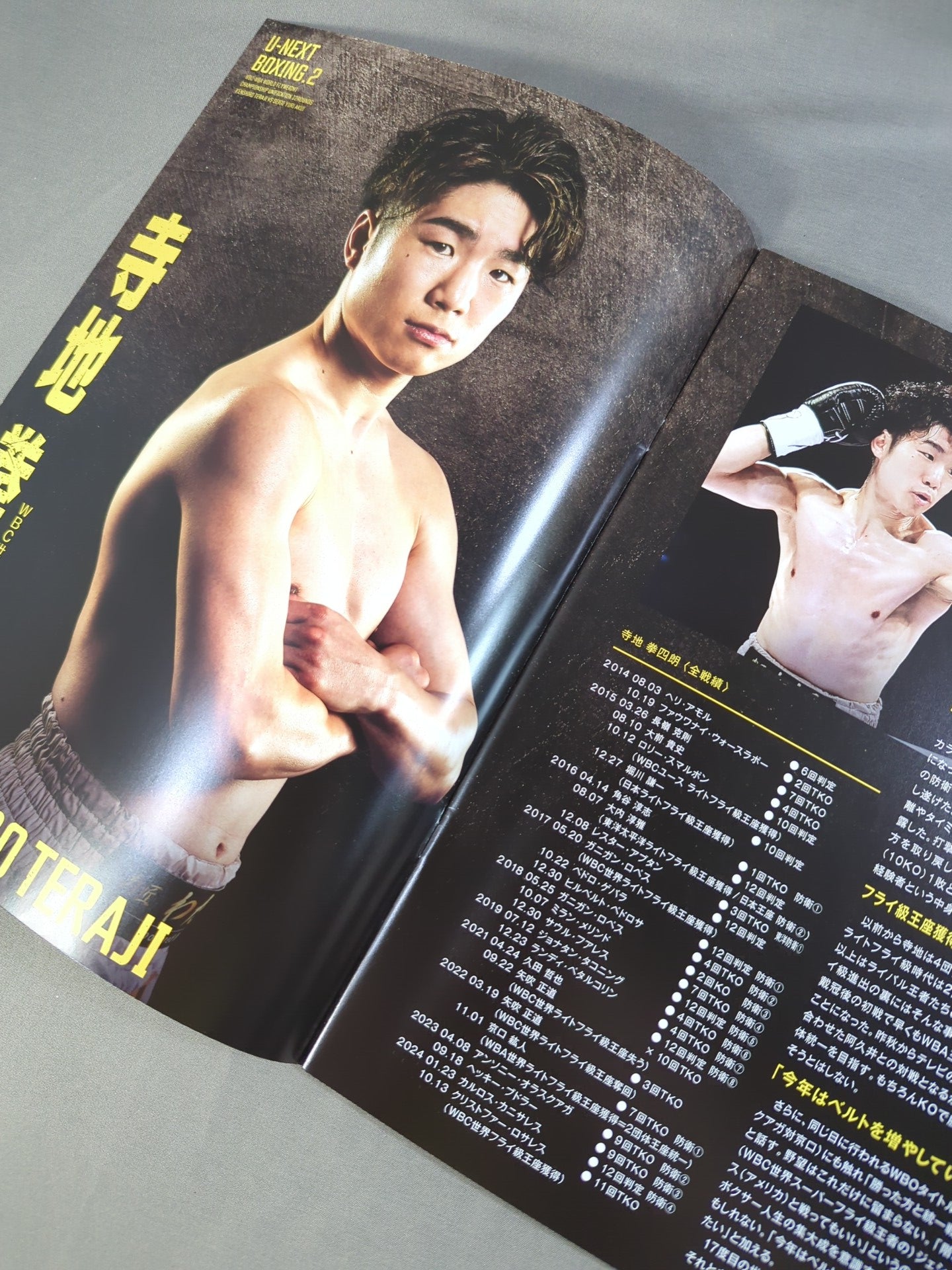 U-NEXT BOXING.2 トリプル世界タイトルマッチ