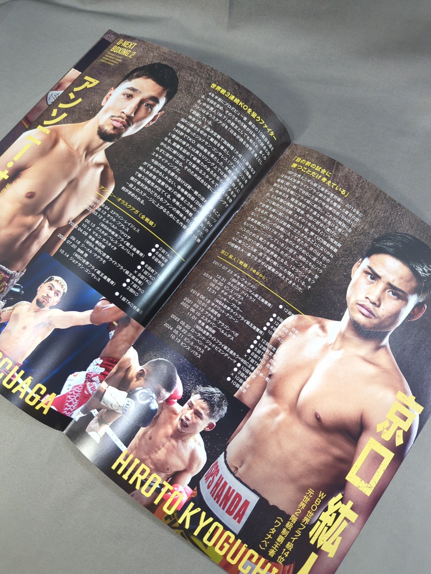 U-NEXT BOXING.2 トリプル世界タイトルマッチ