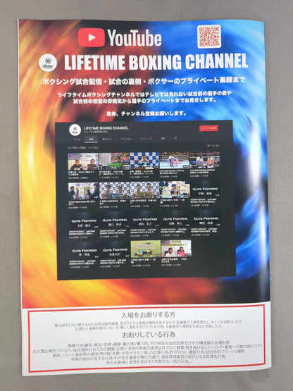 LIFETIME BOXING FIGHTS 25