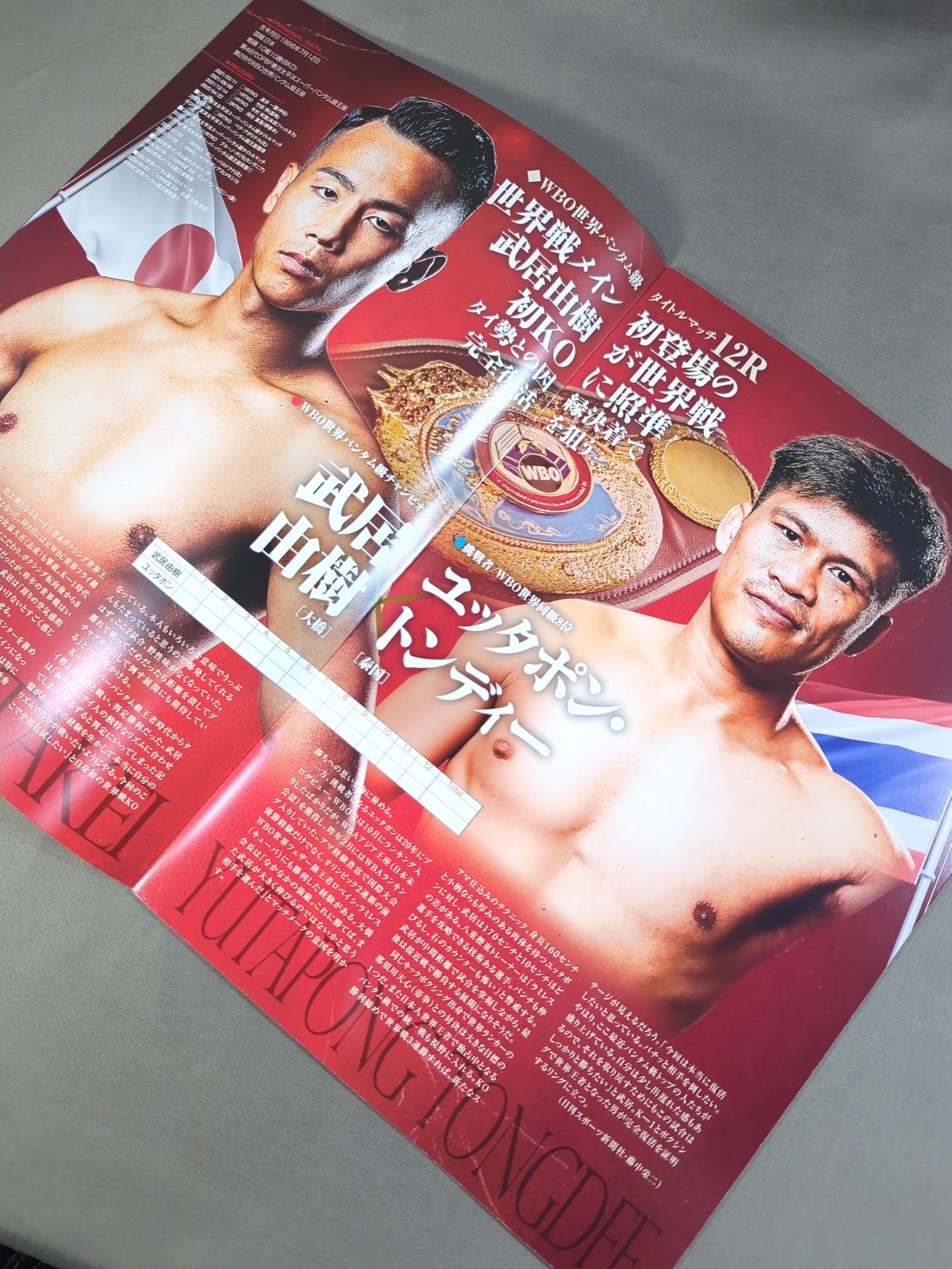 THE WORLD DOUBLE TITLE MATCH