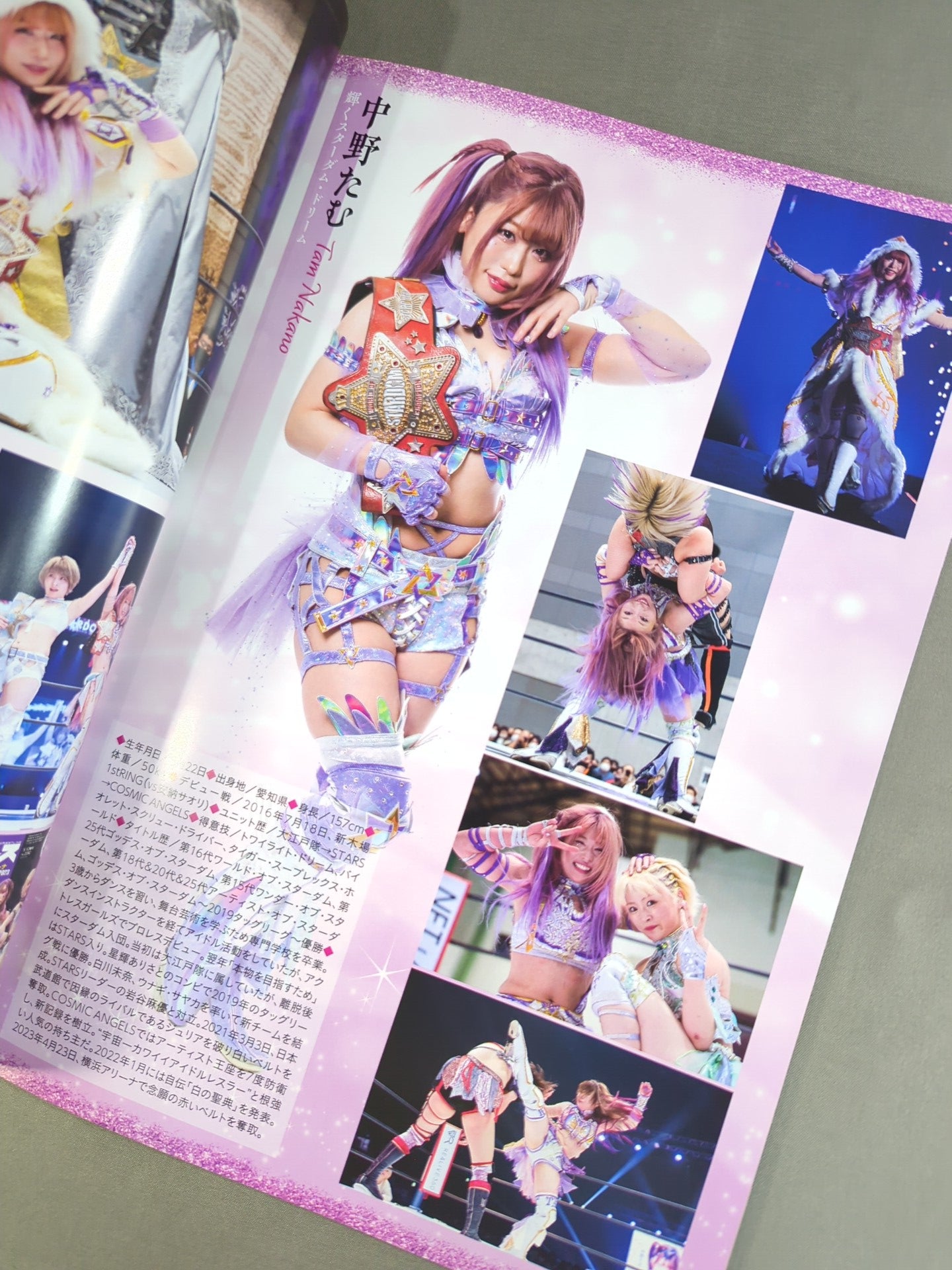 STARDOM OFFICIAL GUIDE BOOK Vol.147