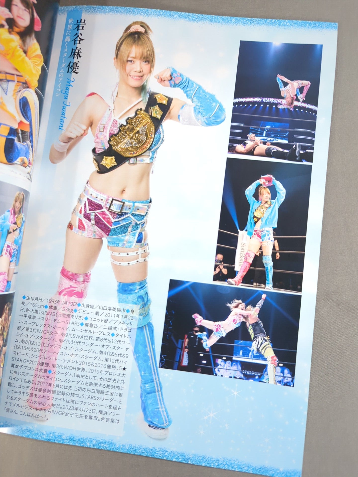 STARDOM OFFICIAL GUIDE BOOK Vol.147