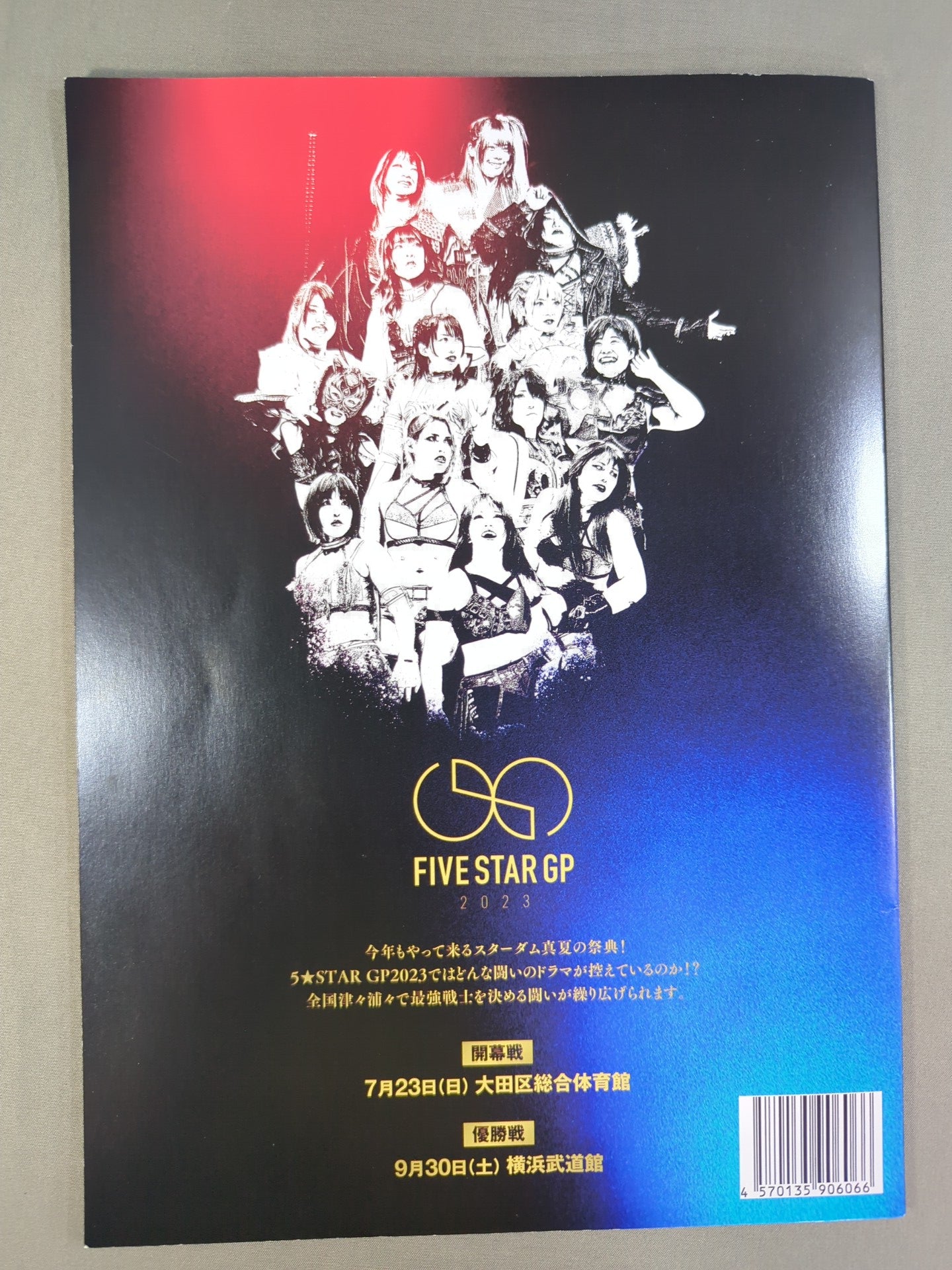 STARDOM OFFICIAL GUIDE BOOK Vol.147