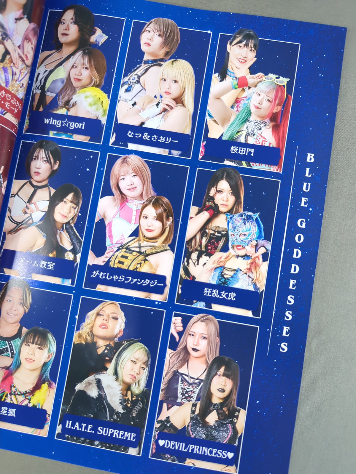 STARDOM OFFICIAL GUIDE BOOK Vol.153