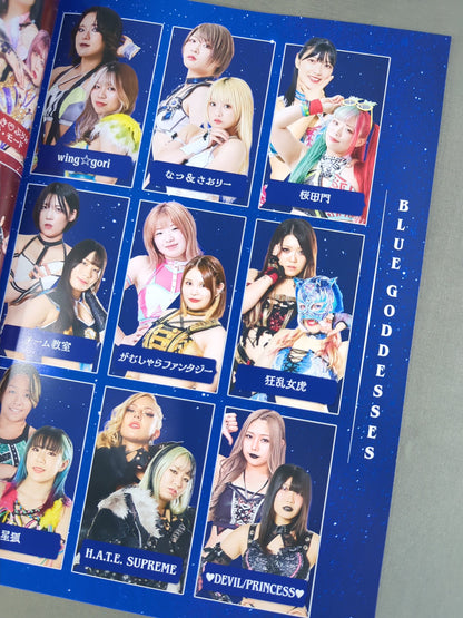 STARDOM OFFICIAL GUIDE BOOK Vol.153