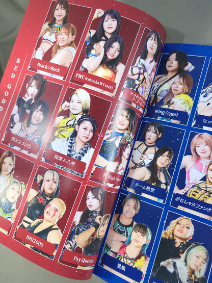 STARDOM OFFICIAL GUIDE BOOK Vol.153