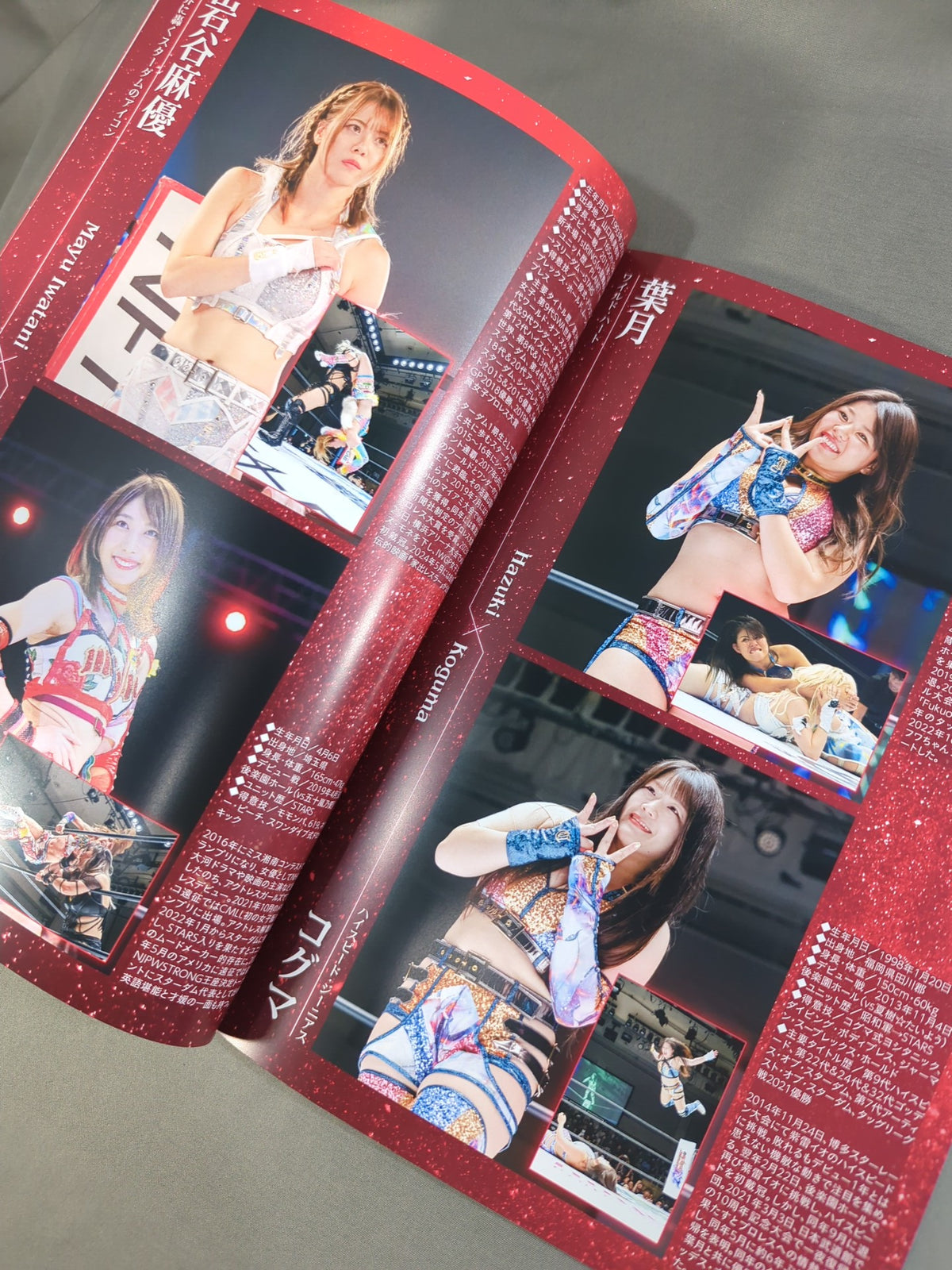 STARDOM OFFICIAL GUIDE BOOK Vol.153
