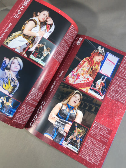 STARDOM OFFICIAL GUIDE BOOK Vol.153