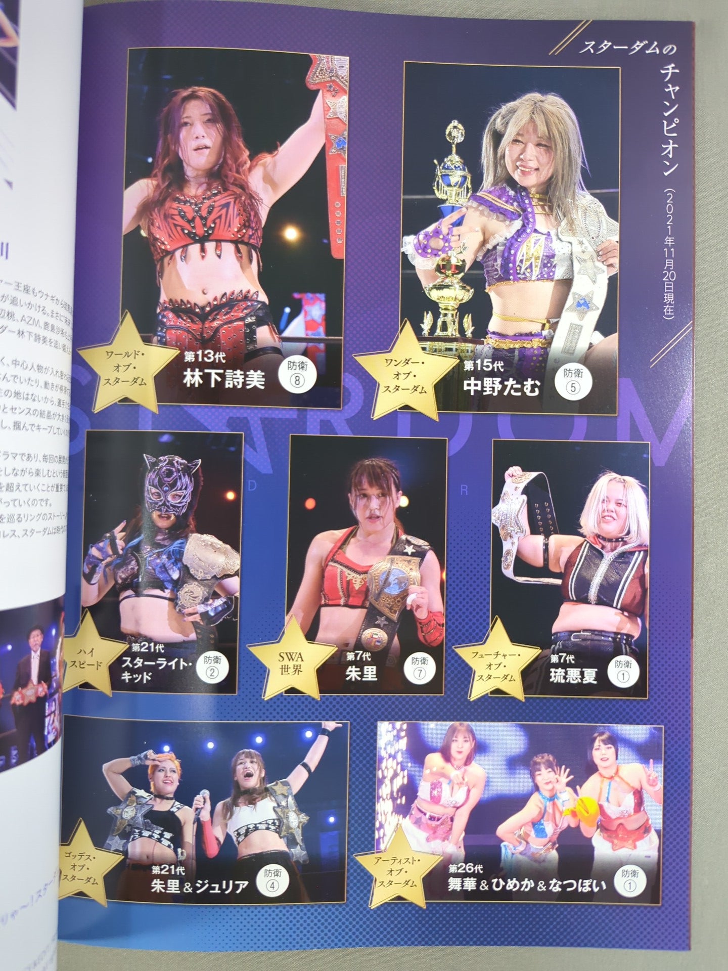 STARDOM OFFICIAL GUIDE BOOK Vol.139