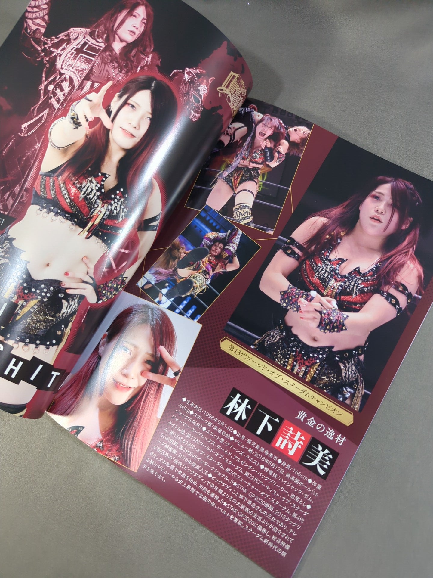 STARDOM OFFICIAL GUIDE BOOK Vol.139