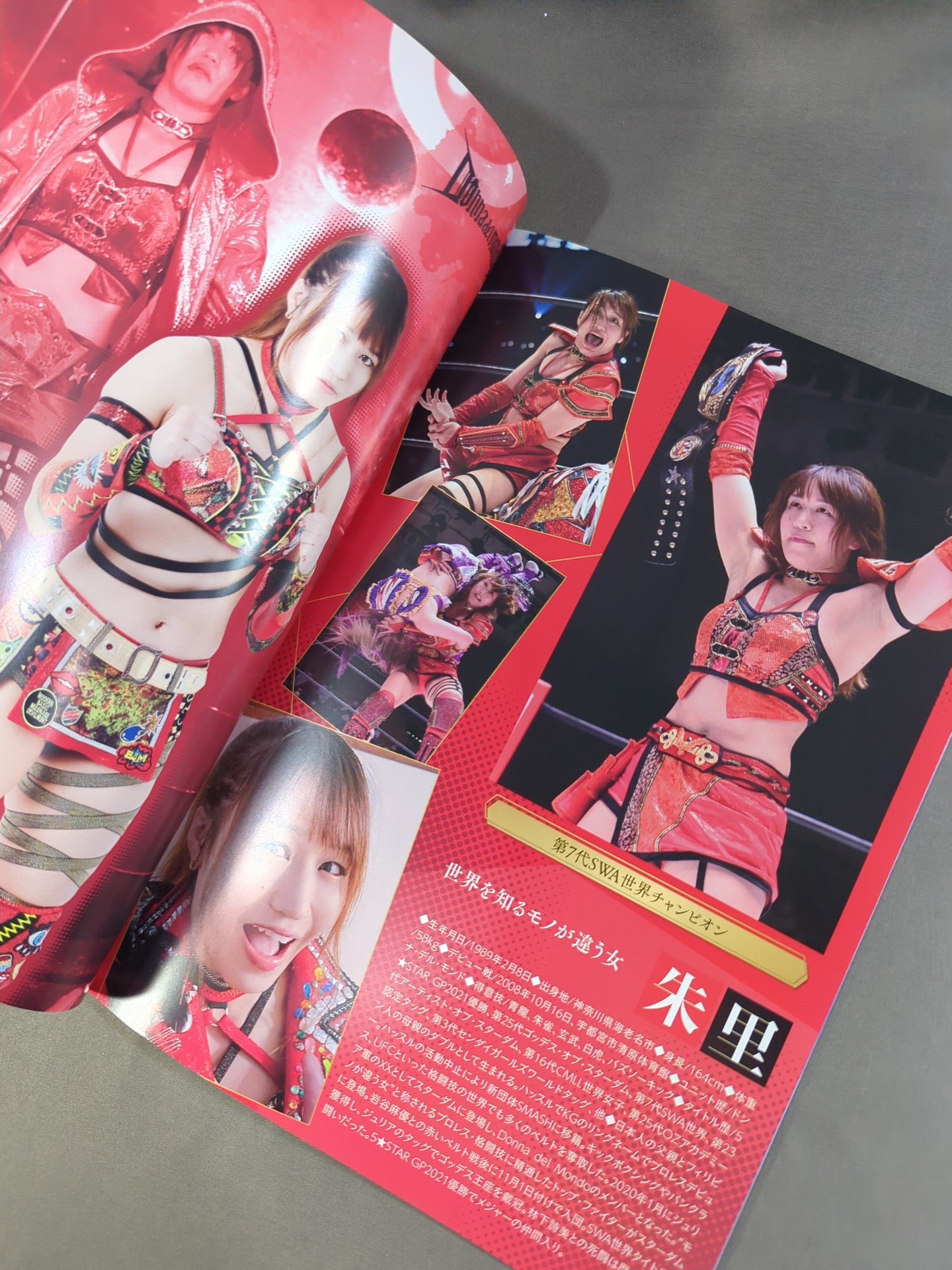 STARDOM OFFICIAL GUIDE BOOK Vol.139