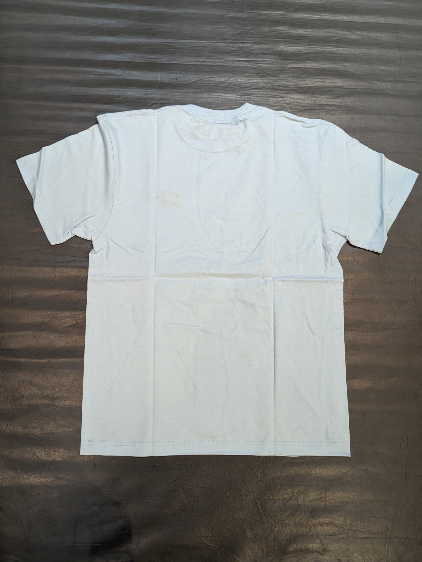 家出レスラー  Tシャツ(刺繍・ライトブルー)