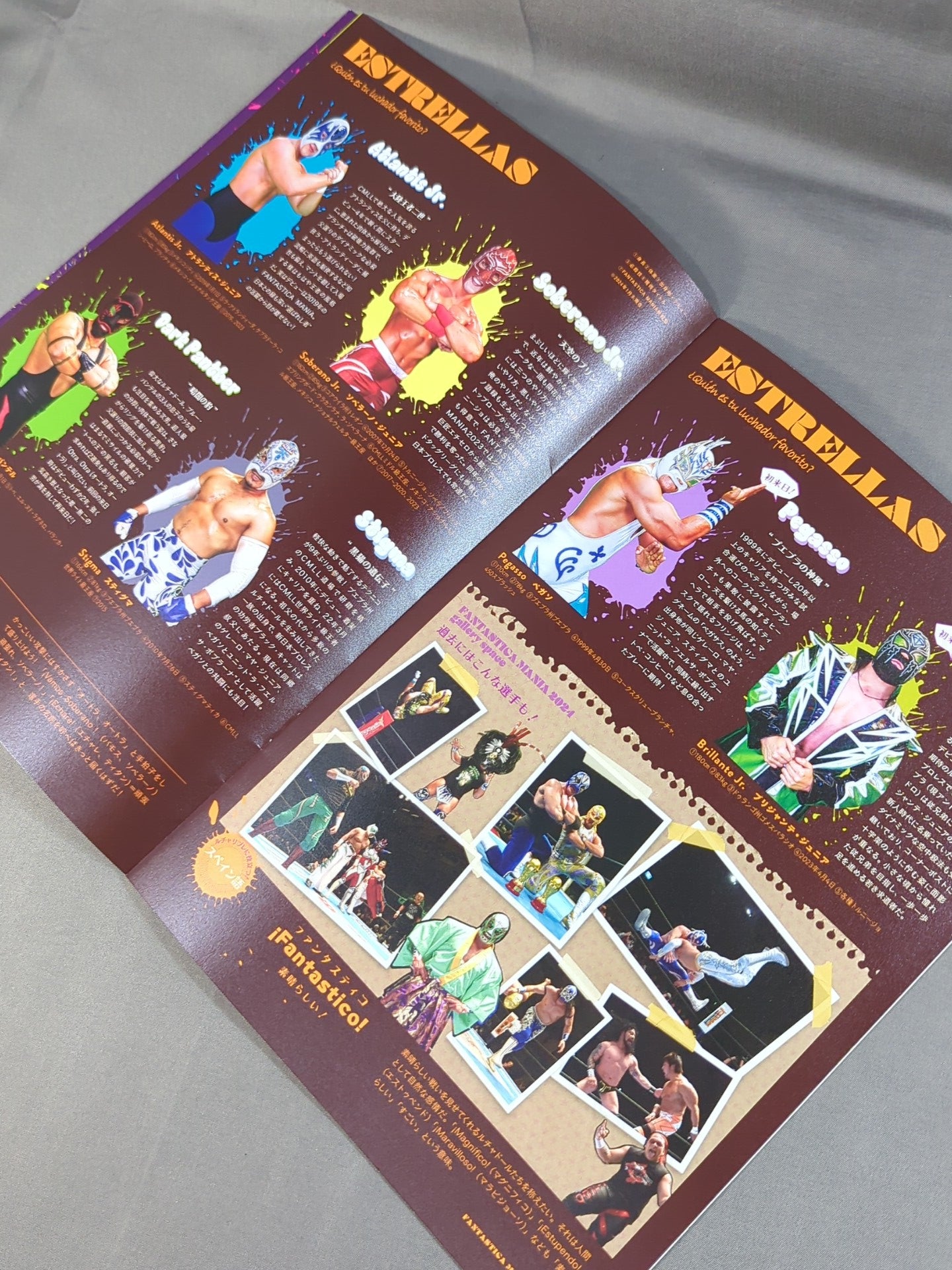 FANTASTICA  Mania 2024 / FANTASTICA MANIA 2024