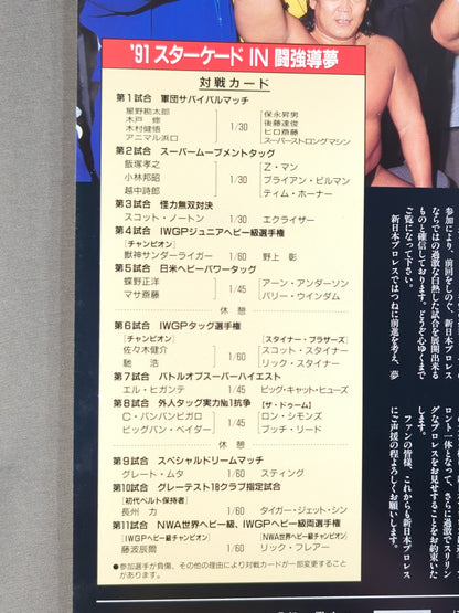 ★ Fujinami vs Flair NWA 91 ★ Starcade in Fighting Dream