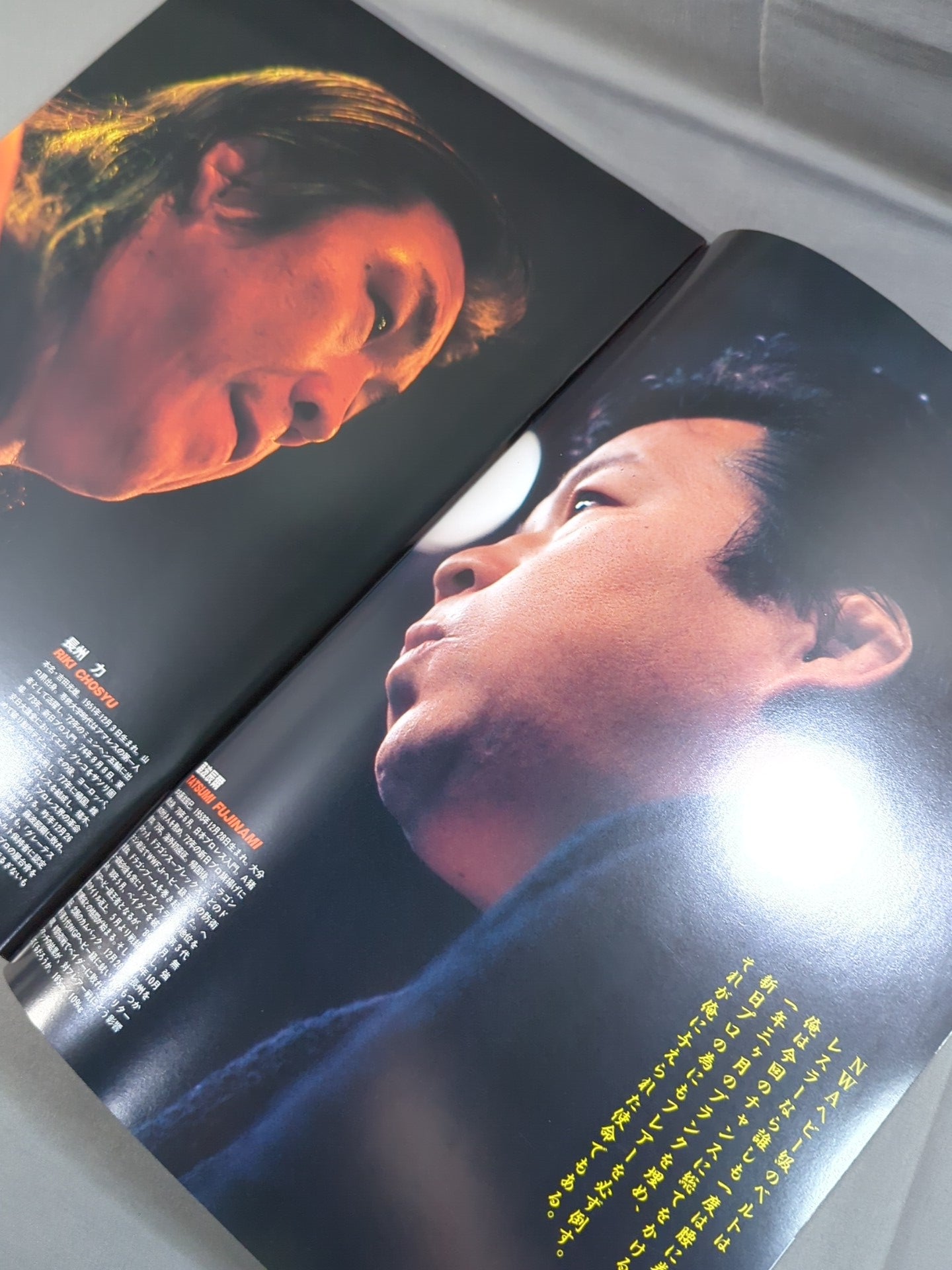 ★ Fujinami vs Flair NWA 91 ★ Starcade in Fighting Dream