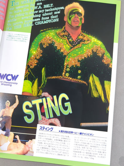 ★ Fujinami vs Flair NWA 91 ★ Starcade in Fighting Dream
