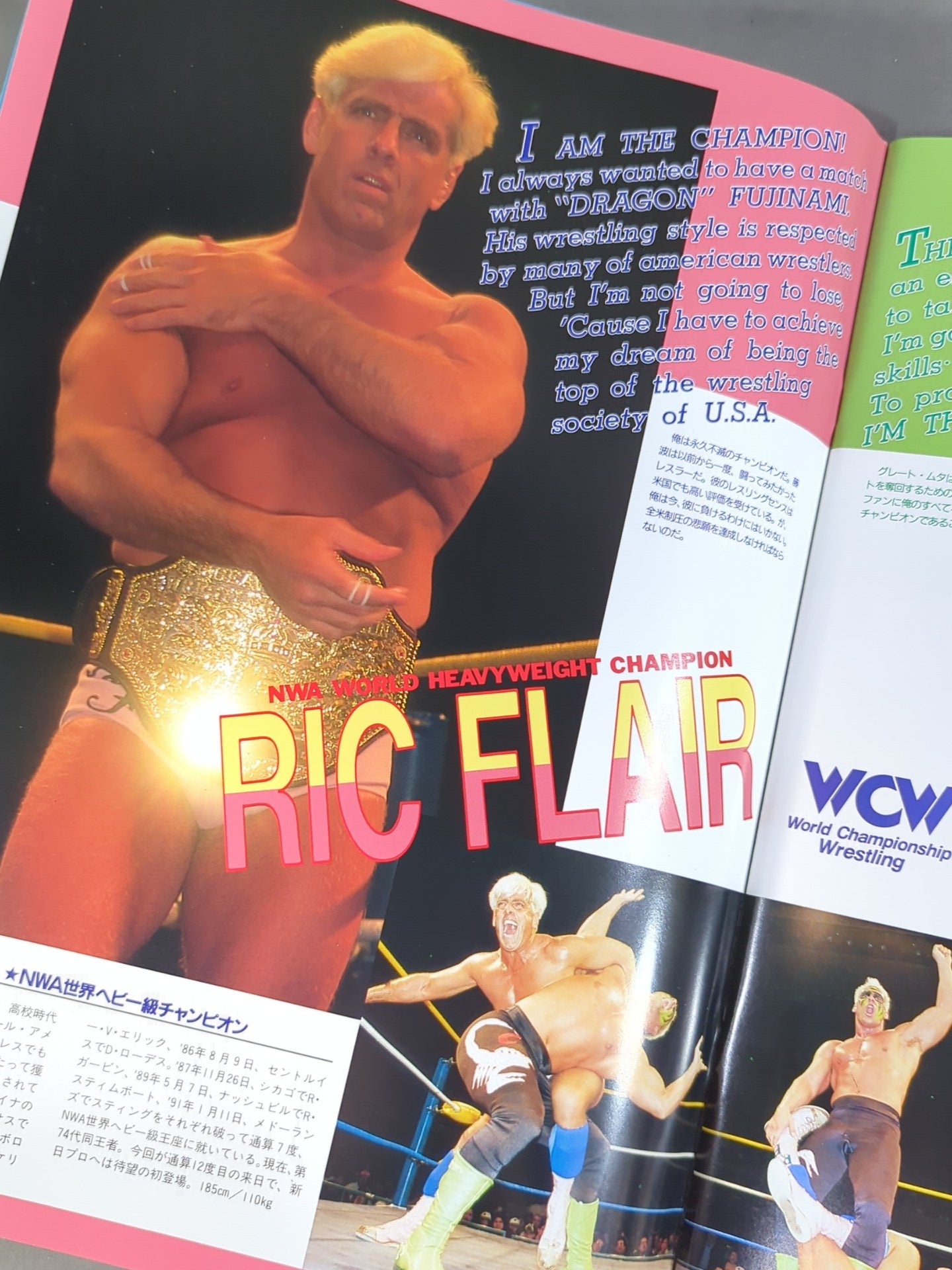 ★ Fujinami vs Flair NWA 91 ★ Starcade in Fighting Dream