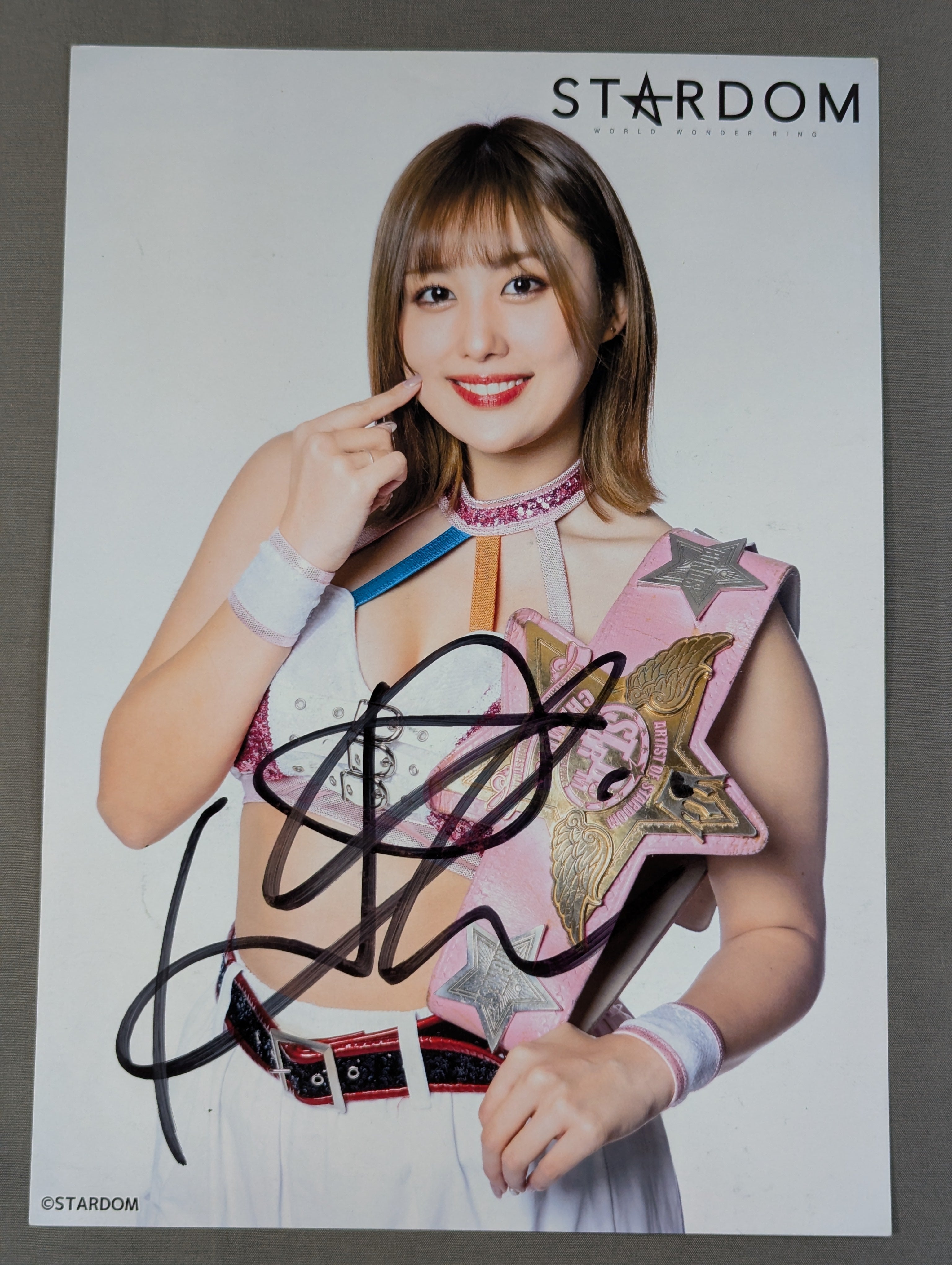 STARDOM ポートレート全直筆サイン入り16枚セット　14選手 ひめか 直筆サイン入り スターダムポートレート(S-1) – 闘道館