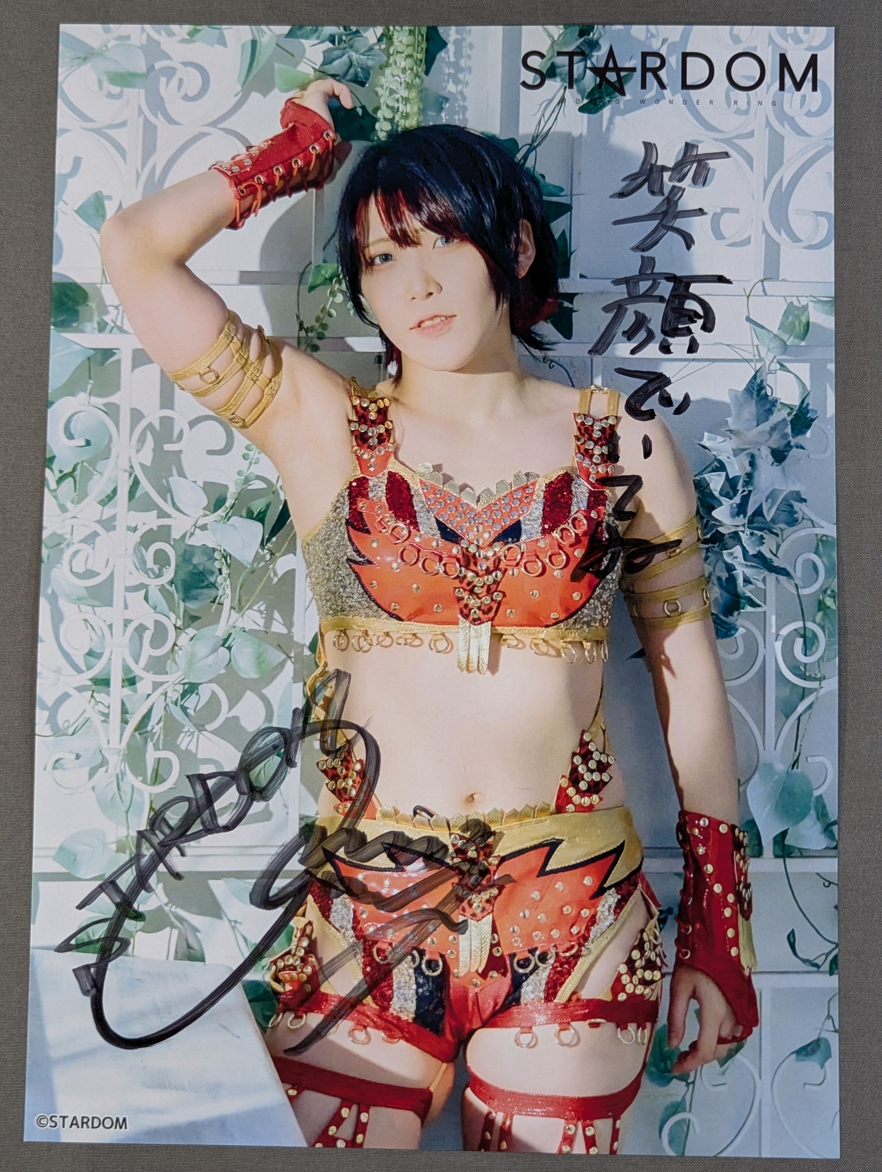 林下詩美 直筆サイン入り スターダムポートレート(W-8) – 闘道館