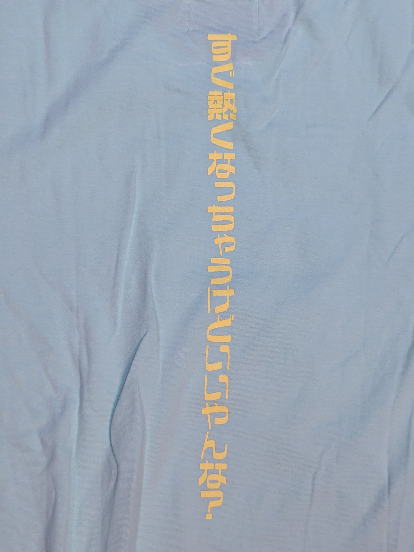 ★5枚限定!! 手刷りバージョン★ ZERO3×STARDOM ウナギ・サヤカ コラボ Tシャツ