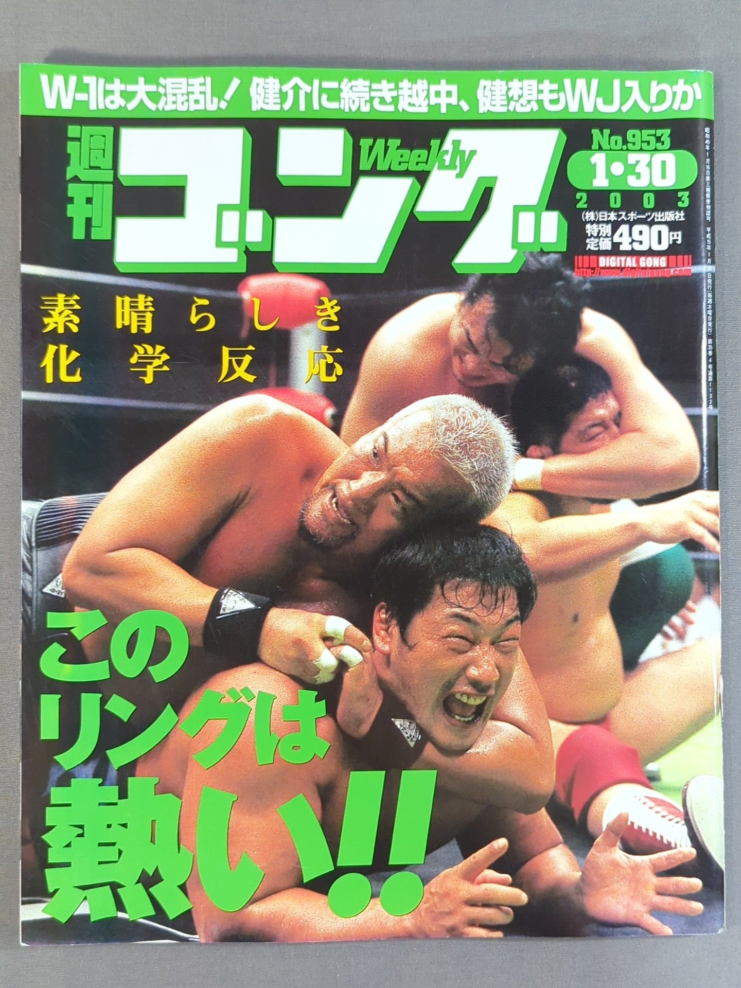 週刊ゴング953