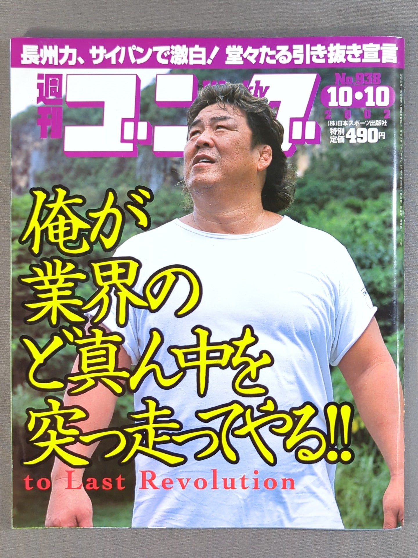 週刊ゴング938