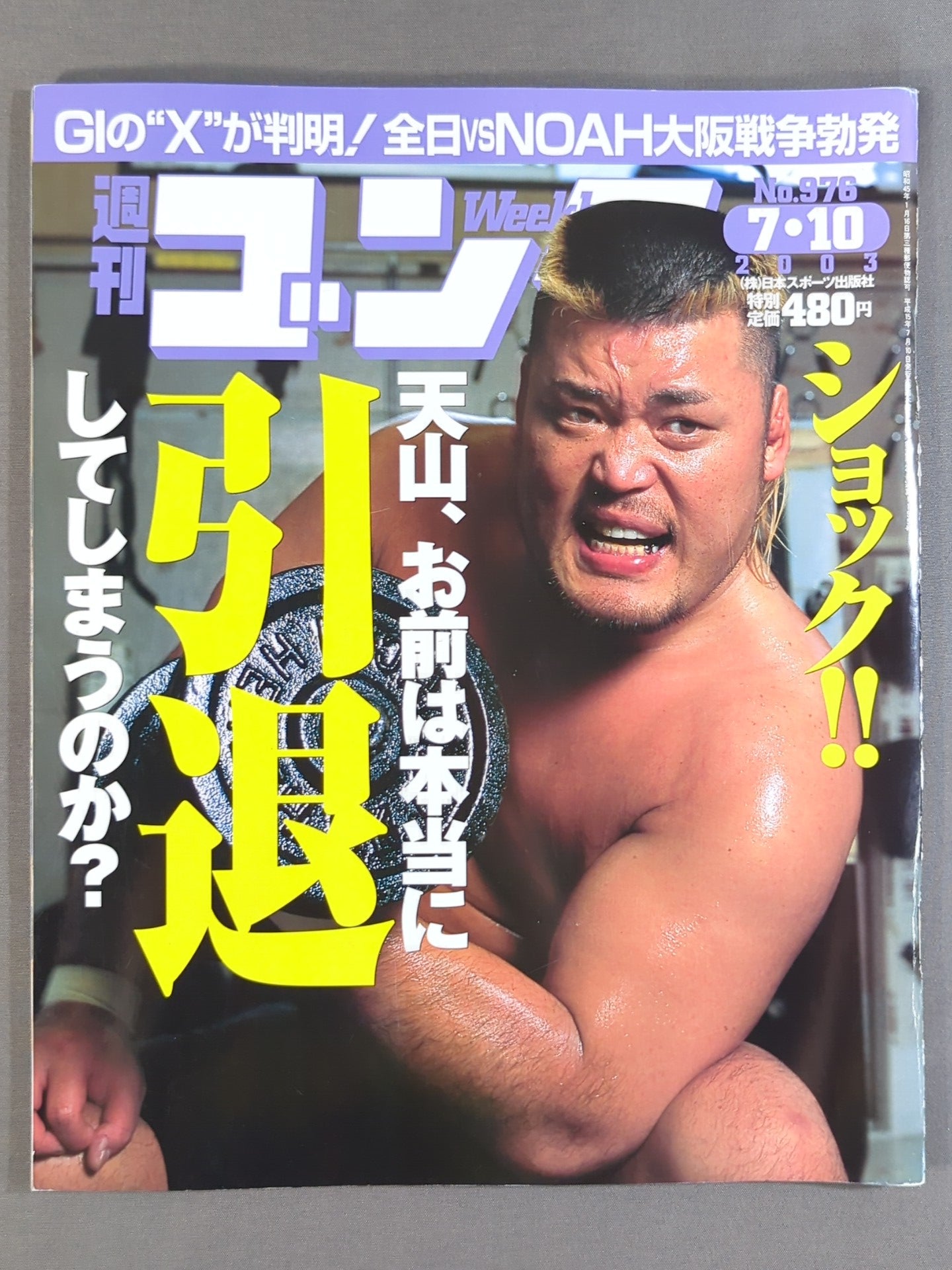 週刊ゴング976
