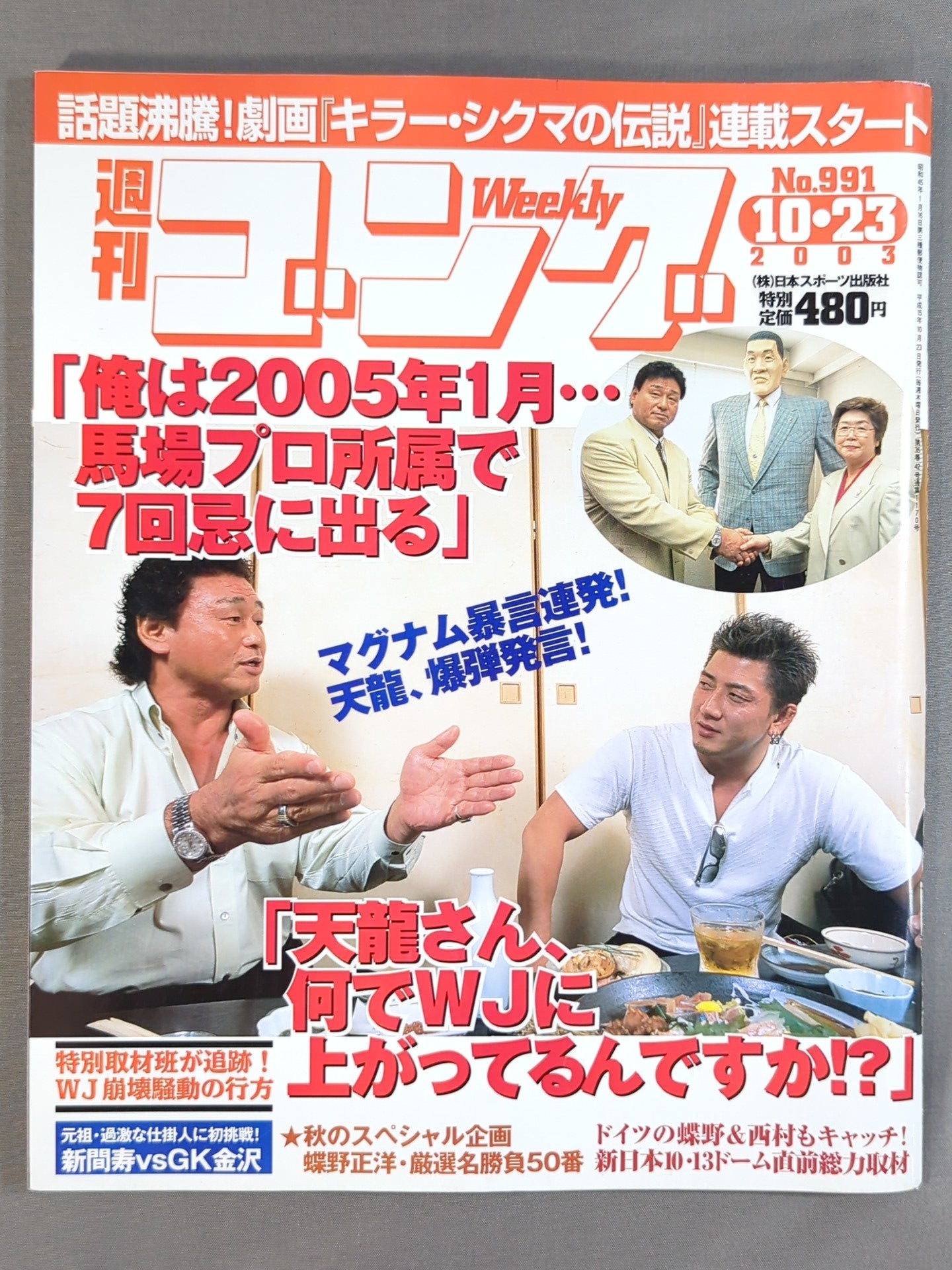 週刊ゴング991