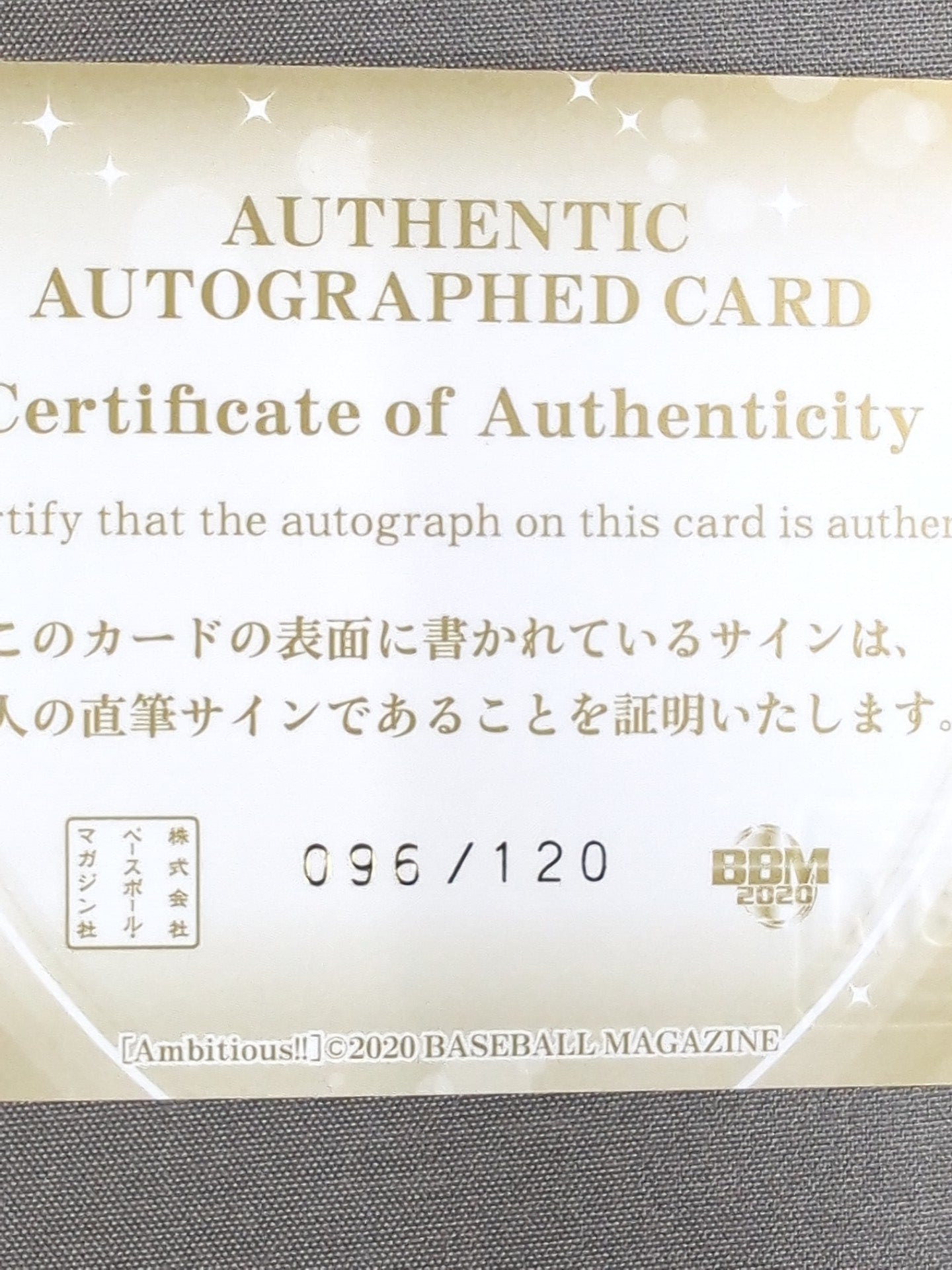 2020 BBM 藤田あかね 公式サインカード