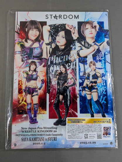 ★ Finish Prize ★: Saya Kamitani & Akari & Saori Anou  A4 Acrylic Panel