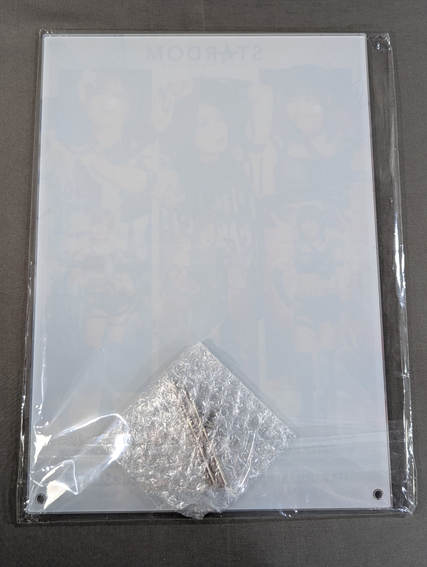 ★ Finish Prize ★: Saya Kamitani & Akari & Saori Anou  A4 Acrylic Panel