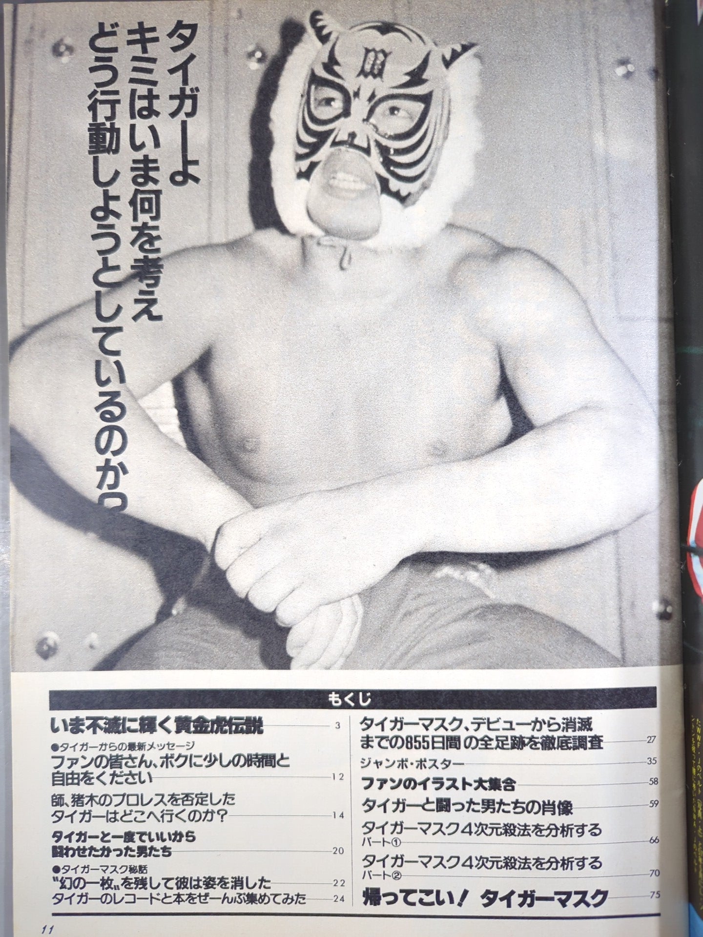 プロレスアルバム38 タイガーマスク フォーエバー – 闘道館