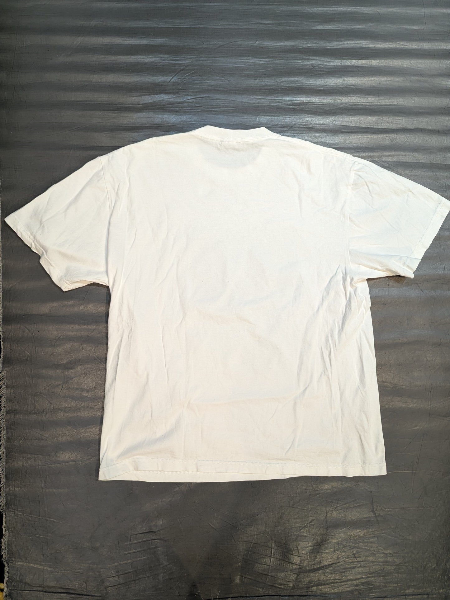 Chihiro Hashimoto "ALBRIGHT" Photo T-Shirt (White)