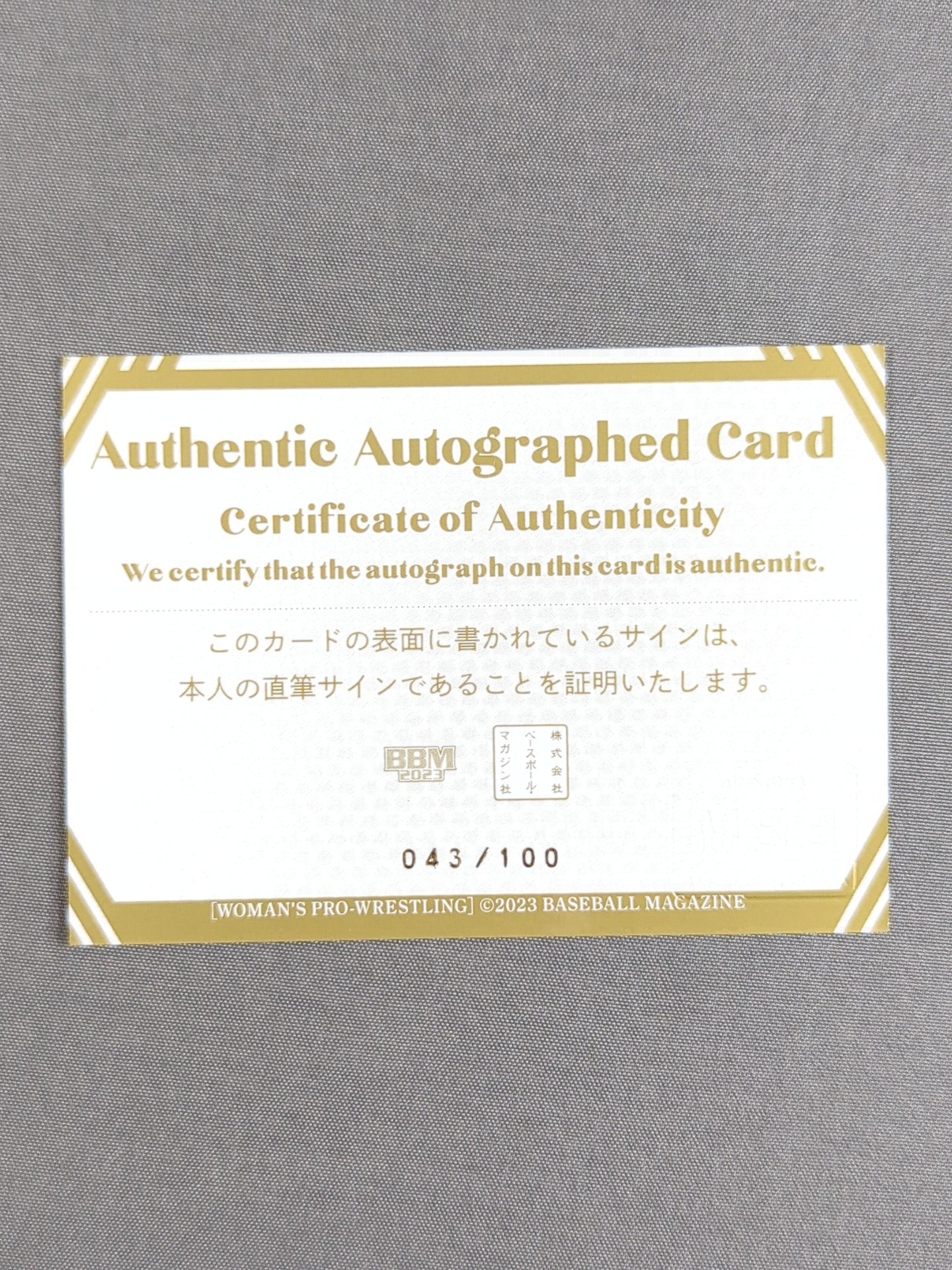 2023 BBM 野崎渚 公式サインカード