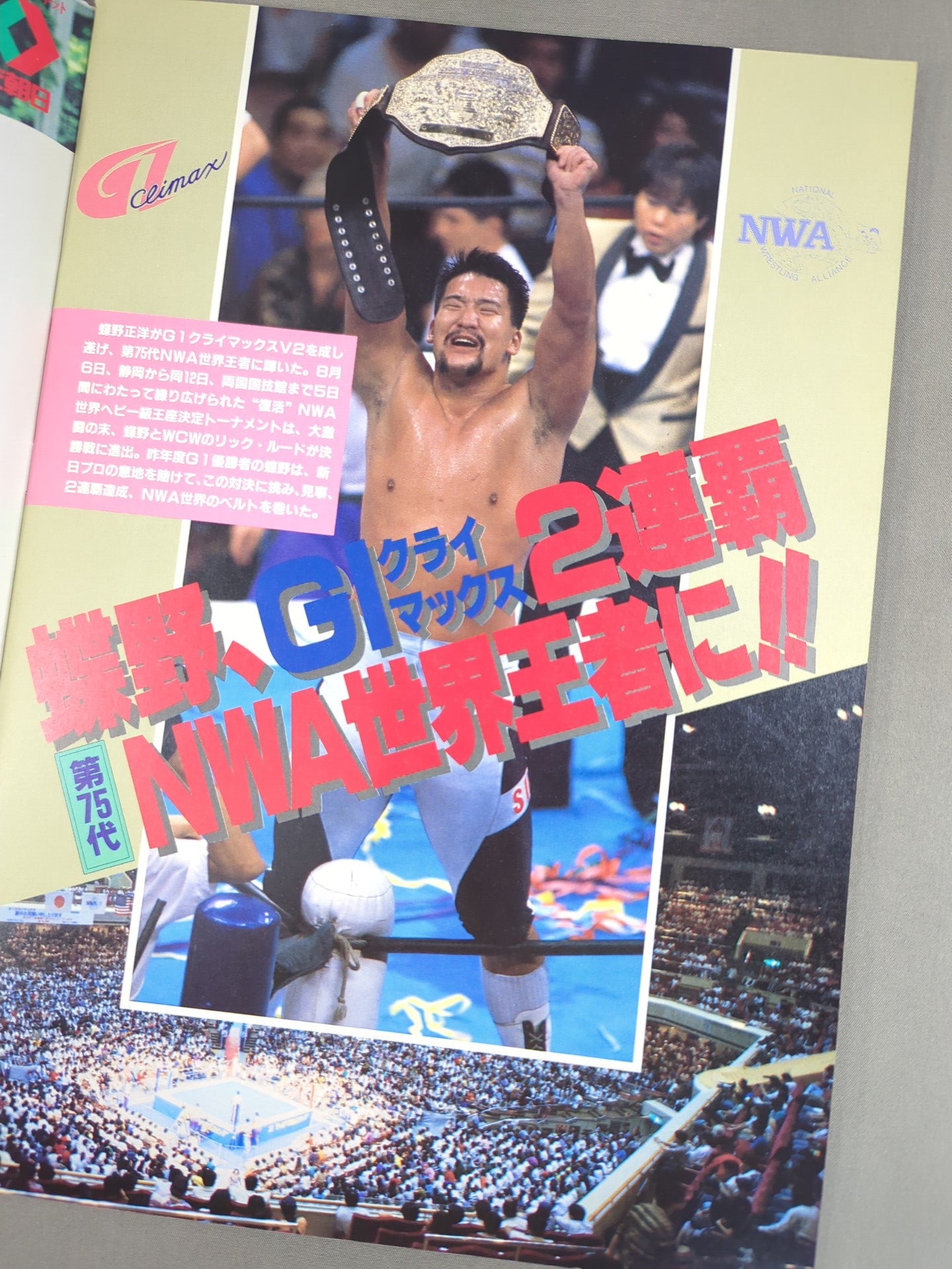 ★蝶野vsスティーブ・オースチン NWA戦★ 闘魂スペシャル特別版