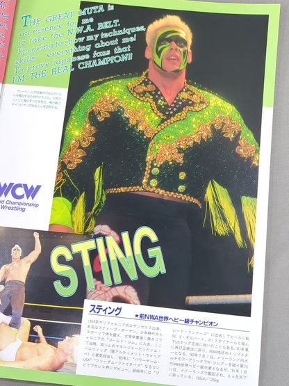 ★ Fujinami vs Flair NWA 91 ★ Starcade in Fighting Dream