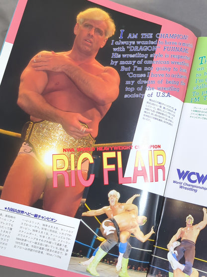 ★ Fujinami vs Flair NWA 91 ★ Starcade in Fighting Dream
