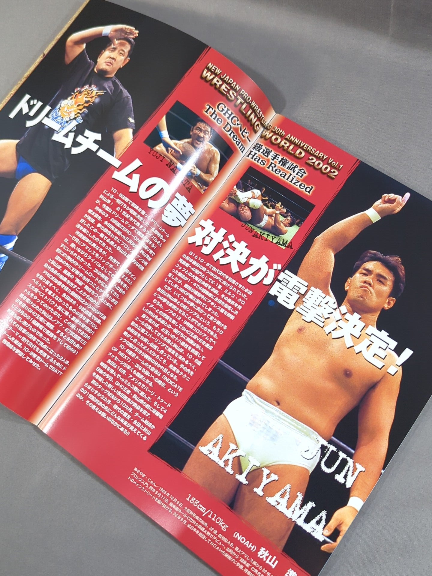 ★秋山vs永田 GHC戦★ WRESTLING WORLD 2002