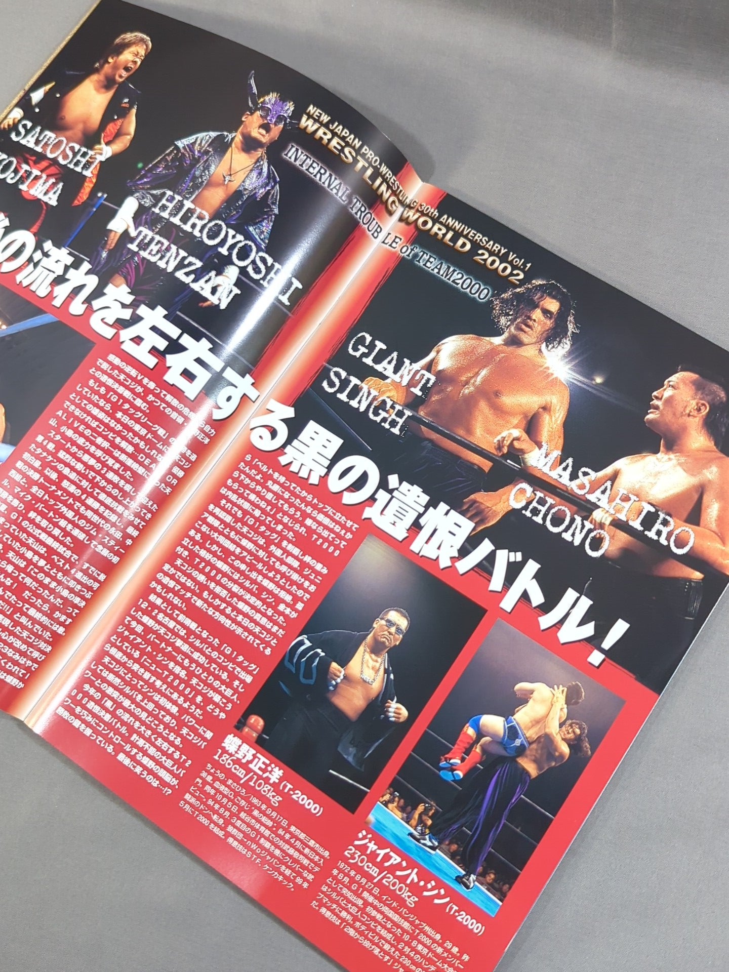 ★秋山vs永田 GHC戦★ WRESTLING WORLD 2002