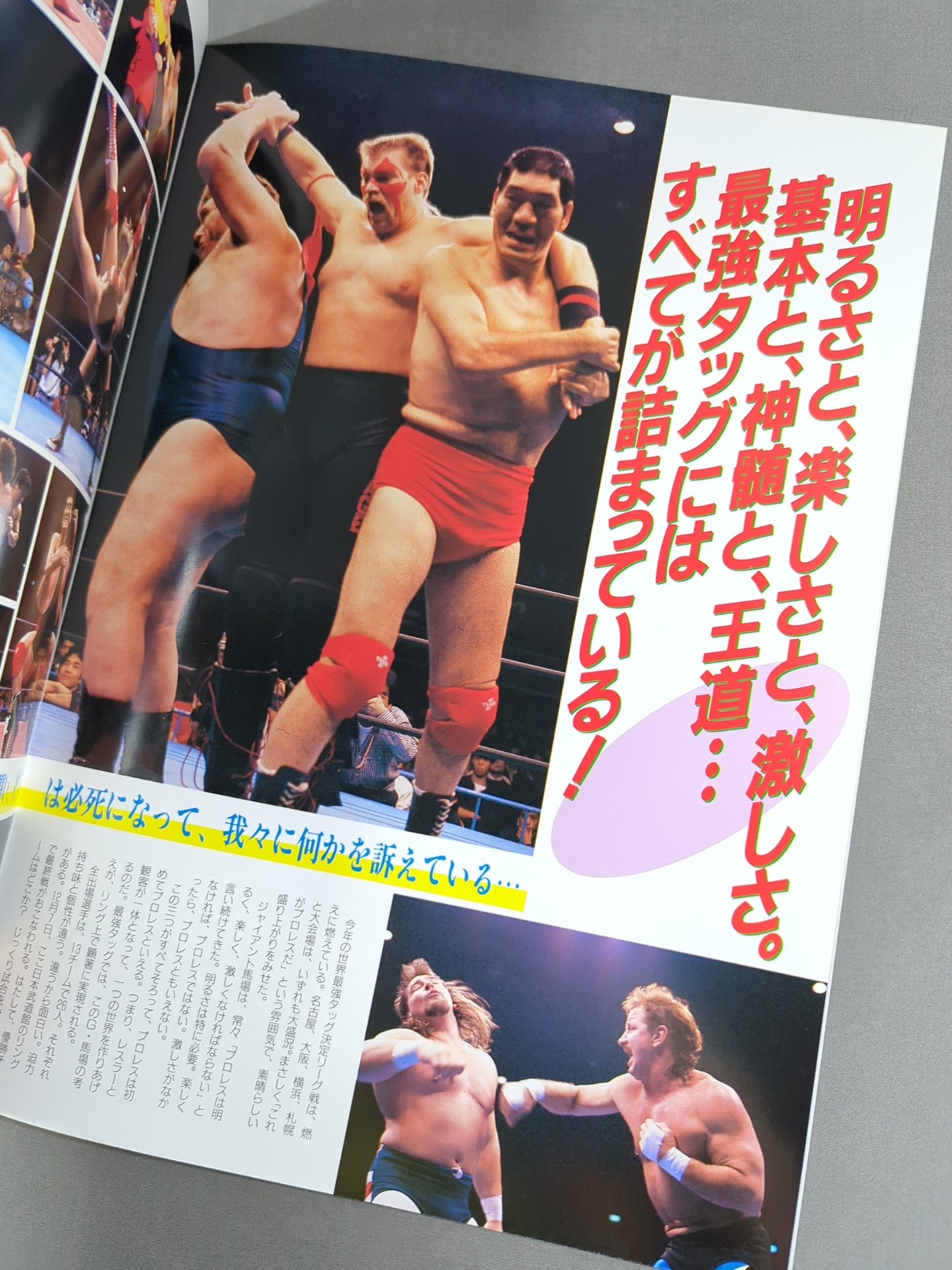 90 Real World Tag League  / The Budokan