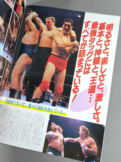 90 Real World Tag League  / The Budokan